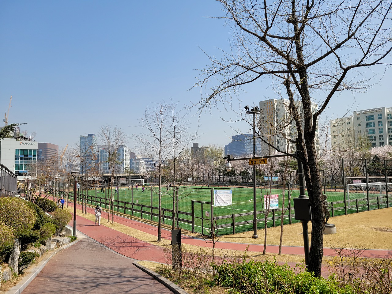 起了广泛的 起了广泛的