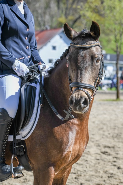 伞爱好者心 伞爱好者心