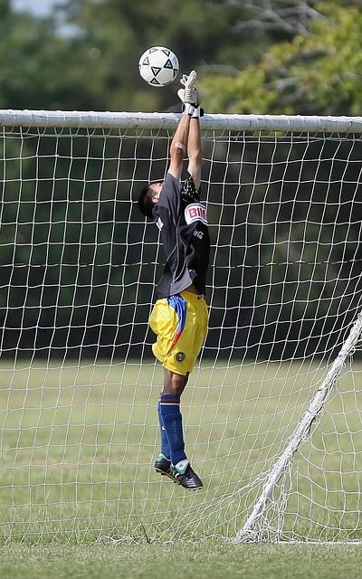 象的结合 象的结合