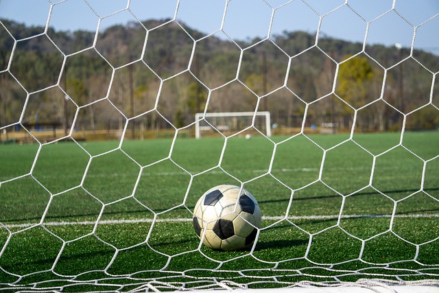 了新的挑战 了新的挑战