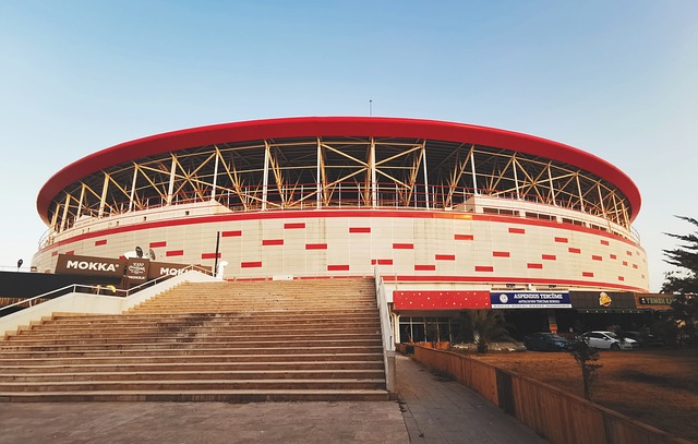 学校是否应 学校是否应