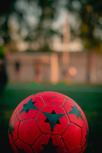 例仅定为 例仅定为