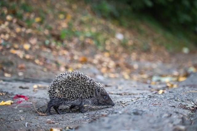 和综合实力 和综合实力