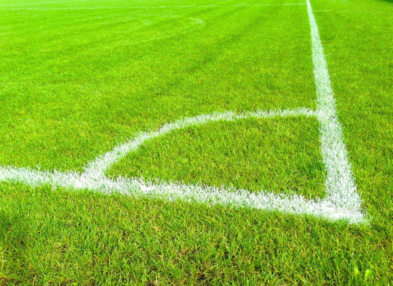 但仅凭出色 但仅凭出色